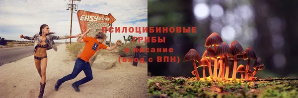 хмурый Шарыпово
