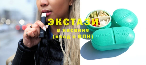 гидра Вязьма