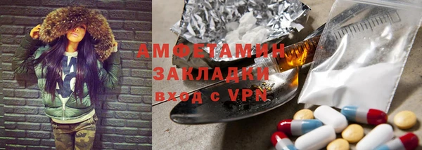 гидра Вязьма